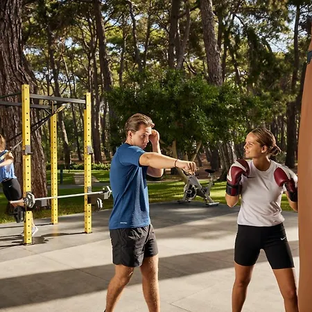 Robinson Pamfilya シダ