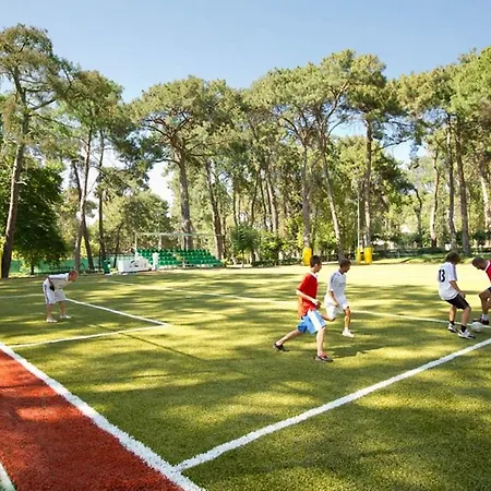 リゾート Robinson Pamfilya シダ