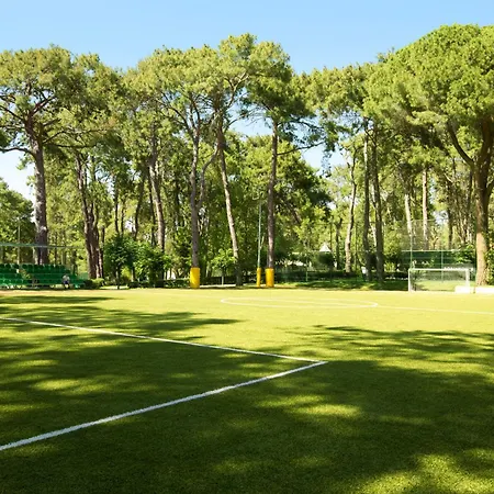 Robinson Pamfilya 4* シダ