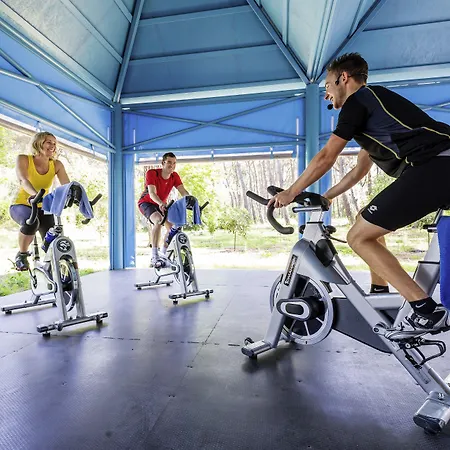 Robinson Pamfilya シダ