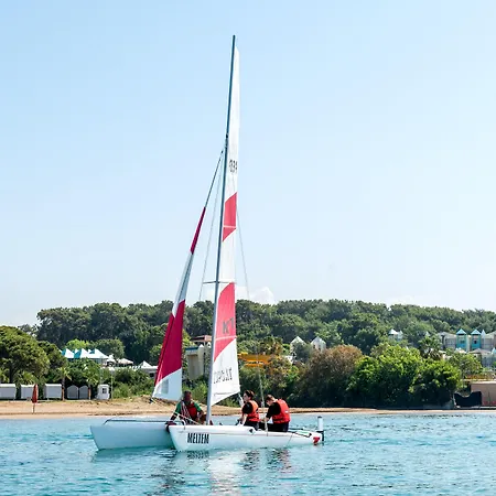 Robinson Pamfilya 4* シダ