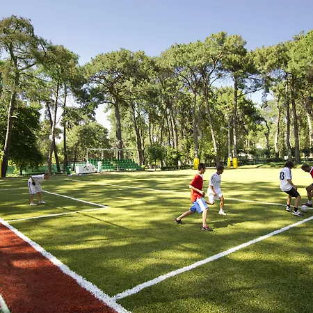 Robinson Pamfilya 4* シダ