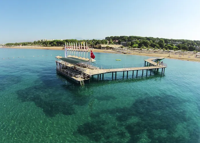 Robinson Pamfilya سيدي