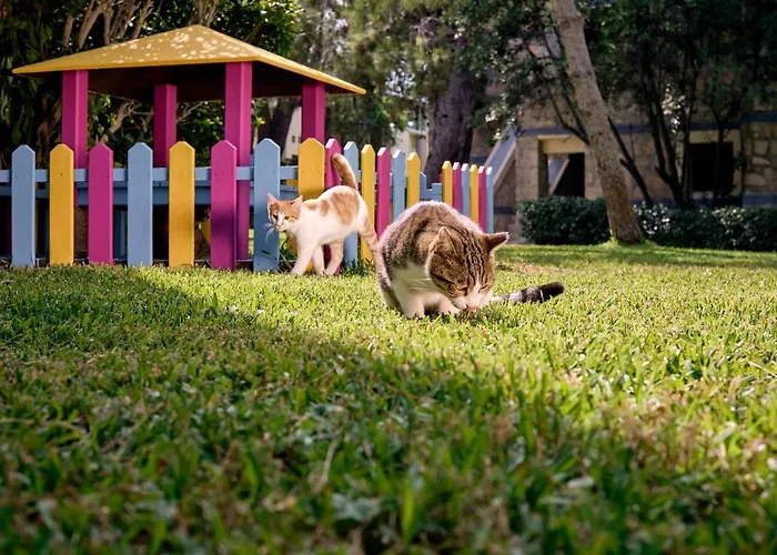 Robinson Pamfilya 4*