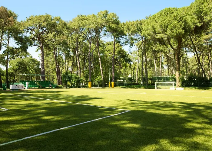 Robinson Pamfilya 4* Sidé