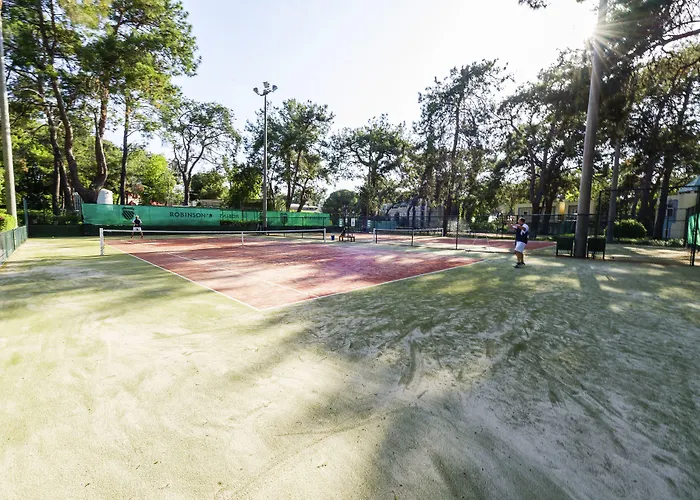 Robinson Pamfilya 4* 시데