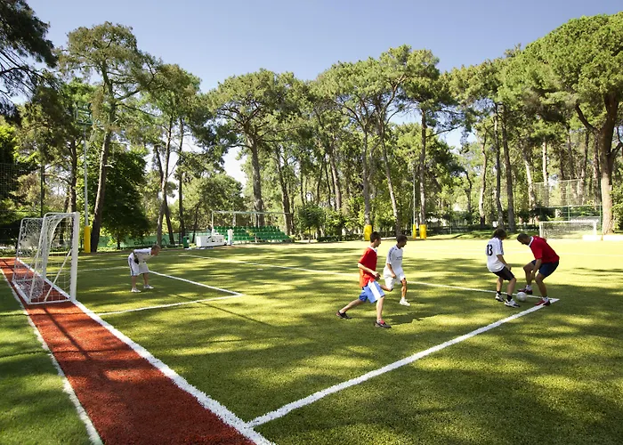 Robinson Pamfilya 4* 시데